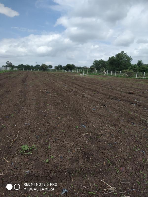  Agricultural Land 35 Guntha for Sale in Pudur, Rangareddy