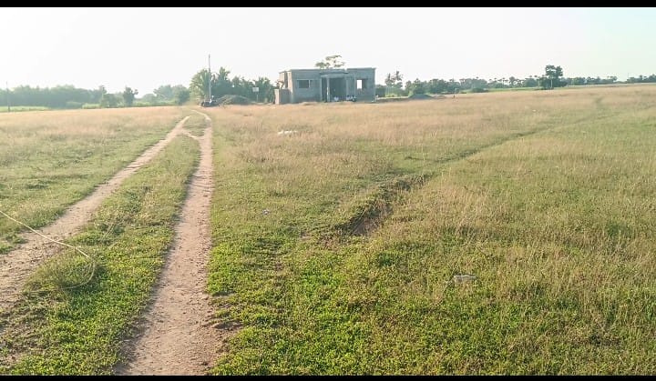  1200 Sq.ft. Residential Plot for Sale in Acharapakkam, Chengalpattu