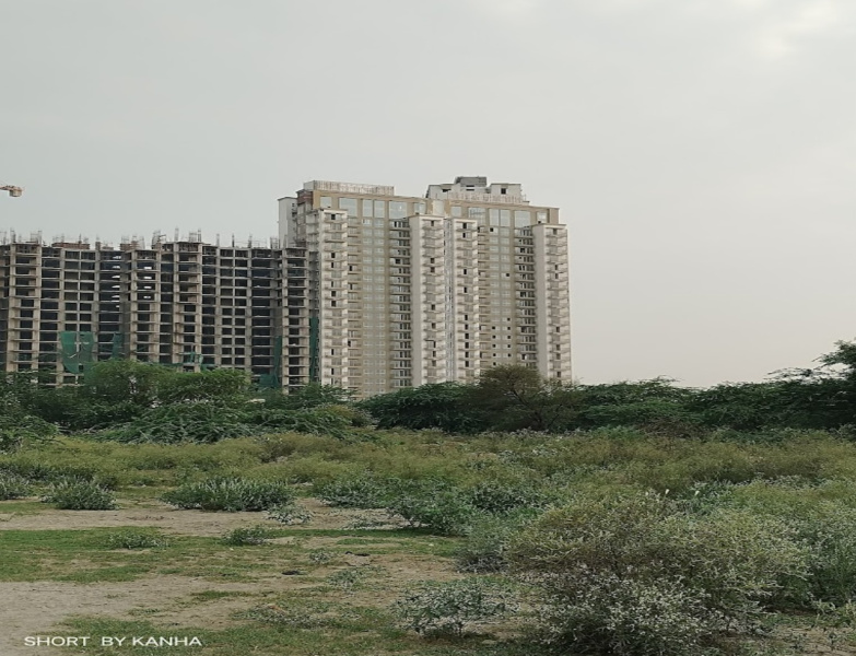 3 BHK Apartment 1440 Sq.ft. for Sale in Sector 25 Greater Noida