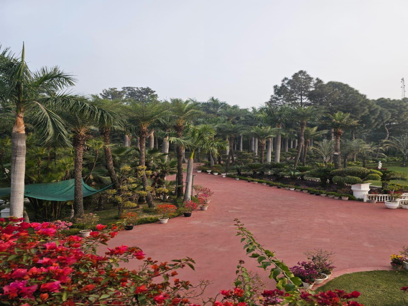 4 BHK Farm House 1008 Sq. Yards for Sale in Sector 150 Noida