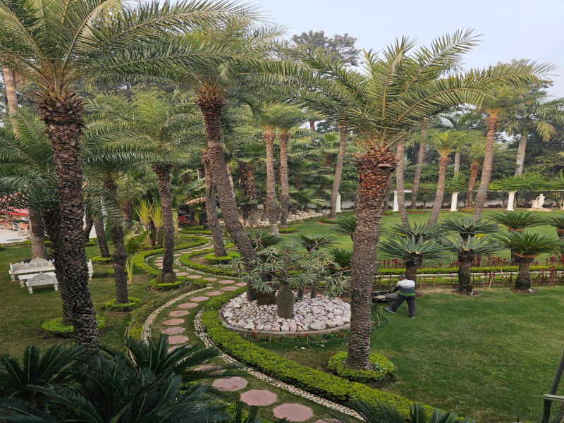 3.5 BHK Farm House 1008 Sq. Yards for Sale in Sector 150 Noida