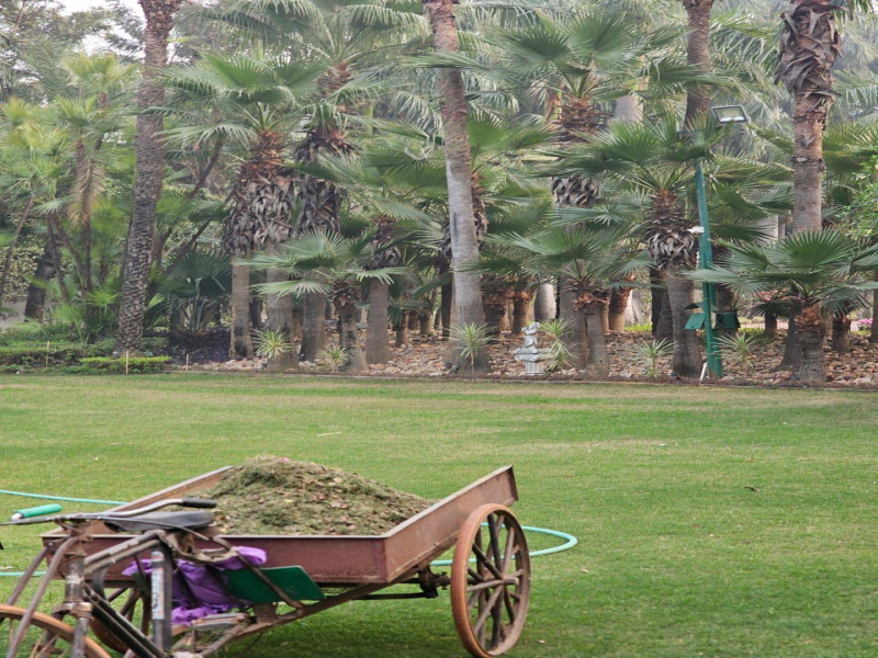 3.5 BHK Farm House 1008 Sq. Yards for Sale in Sector 150 Noida