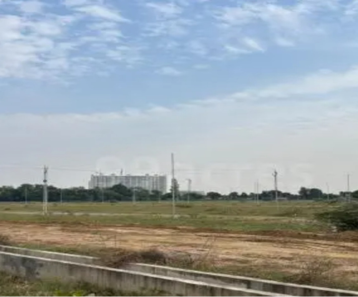  Agricultural Land 2200 Sq. Yards for Sale in Yamuna Expressway, Greater Noida