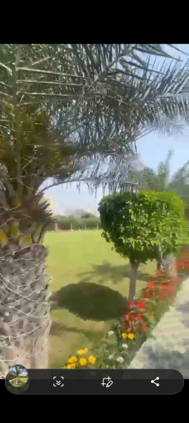  Agricultural Land 1 Acre for Sale in Sector 150 Noida