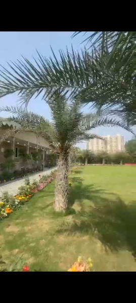  Agricultural Land 1 Acre for Sale in Sector 150 Noida
