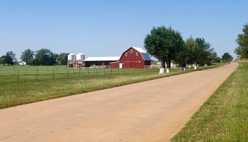  7 Bigha Agricultural/Farm Land for Sale in Jhajhar, Gautam Buddha Nagar