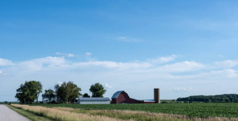  7 Bigha Agricultural/Farm Land for Sale in Jhajhar, Gautam Buddha Nagar