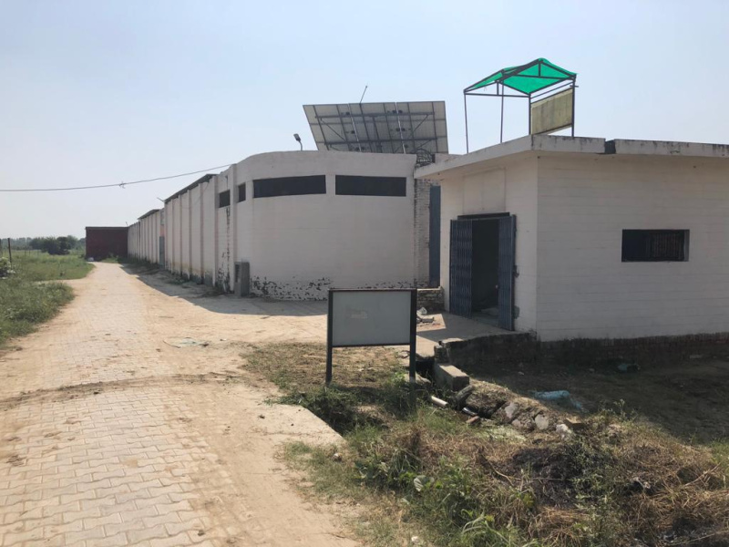  Agricultural Land 170 Bigha for Sale in Jewar, Gautam Buddha Nagar