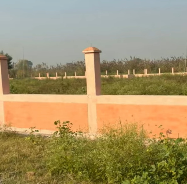  Industrial Land 50 Acre for Sale in Dankaur, Gautam Buddha Nagar