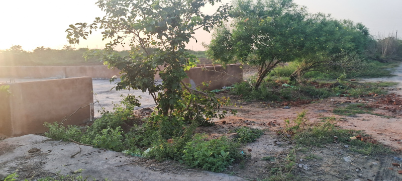  350 Sq. Meter Commercial Land for Sale in Dankaur, Gautam Buddha Nagar