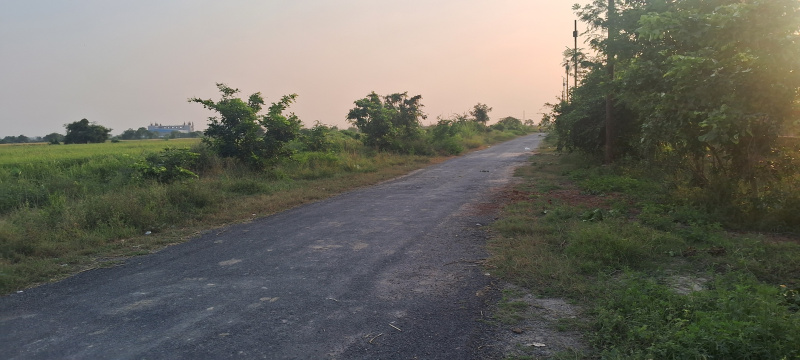  320 Sq. Meter Commercial Land for Sale in Dankaur, Gautam Buddha Nagar