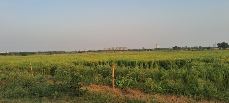  320 Sq. Meter Commercial Land for Sale in Dankaur, Gautam Buddha Nagar