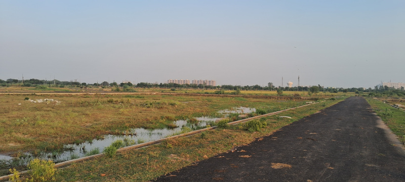  230 Sq. Meter Commercial Land for Sale in Dankaur, Gautam Buddha Nagar