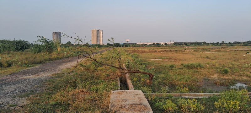  230 Sq. Meter Commercial Land for Sale in Dankaur, Gautam Buddha Nagar
