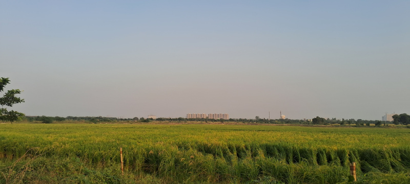  1800 Sq. Meter Commercial Land for Sale in Dankaur, Gautam Buddha Nagar