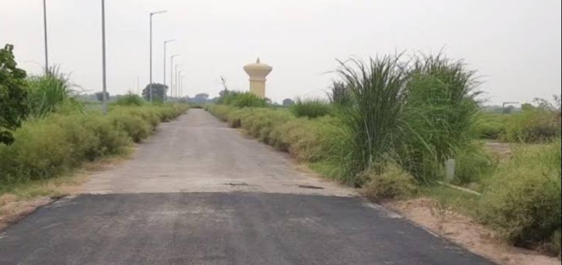  200 Sq. Meter Residential Plot for Sale in Dankaur, Gautam Buddha Nagar