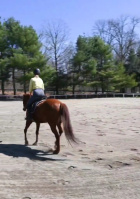 3.5 BHK Farm House for Sale in Techzone 4, Greater Noida