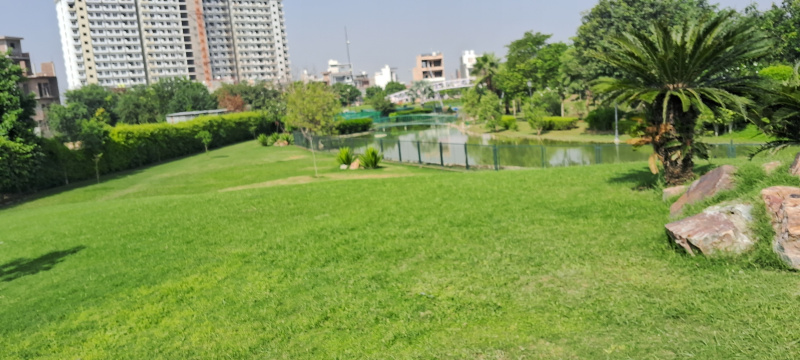 100 Sq. Yards Residential Plot for Sale in Yamuna Expressway, Greater Noida