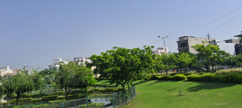 2 BHK 1000 Sq.ft. Apartment for Sale in Yamuna Expressway, Greater Noida