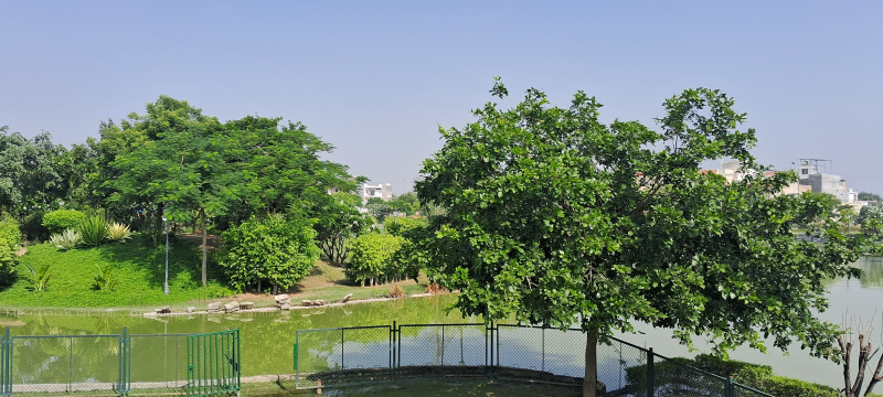  100 Sq. Yards Residential Plot for Sale in Yamuna Expressway, Greater Noida