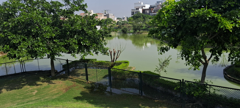  100 Sq. Yards Residential Plot for Sale in Yamuna Expressway, Greater Noida