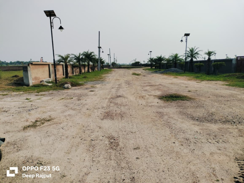 4 BHK 2000 Sq. Yards Farm House for Sale in Dankaur, Gautam Buddha Nagar