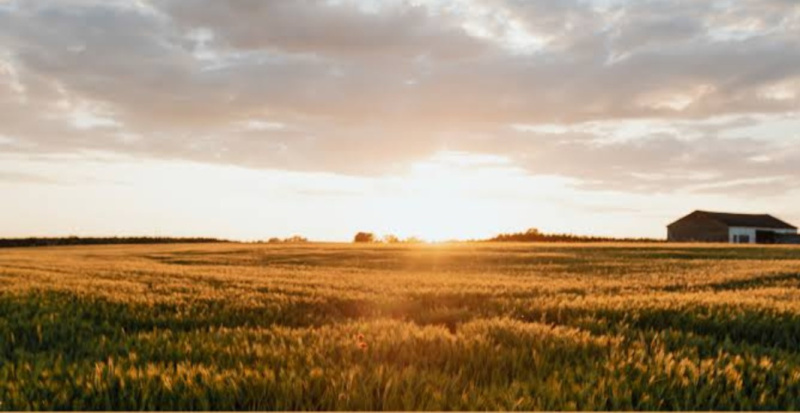  127 Ares Residential Plot for Sale in Achheja, Gautam Buddha Nagar