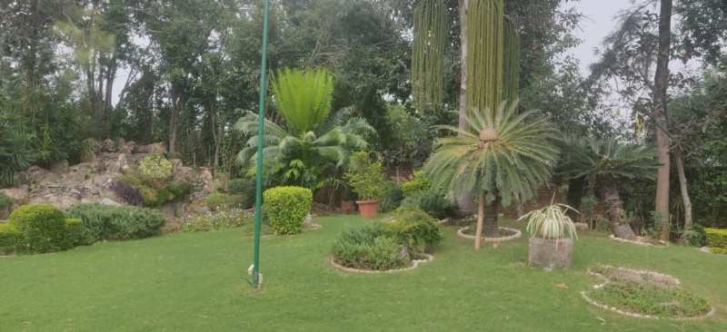  6 Acre Guest House for Sale in Sector A Vasant Kunj, Delhi