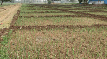  Agricultural Land for Rent in Mokila, Hyderabad