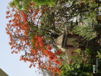 2 BHK Flat for Sale in Civil Lines, Allahabad