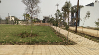 Residential Plot for Sale in Dunda, Raipur