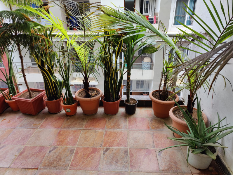 3 BHK 1780 Sq.ft. Apartment for Sale in Avanti Vihar, Raipur