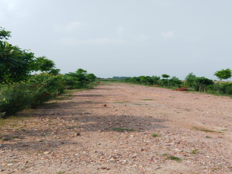  Residential Plot 100 Sq. Yards for Sale in Nagalia, Palwal