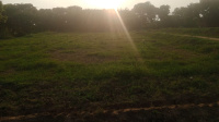  Agricultural Land for Sale in Sirkoni, Jaunpur