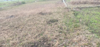  Residential Plot for Sale in Bhaniawala, Dehradun