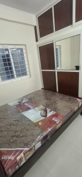 1 BHK Flat for Rent in Gachibowli, Hyderabad
