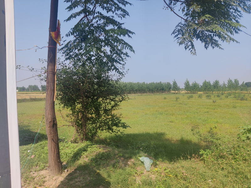  2 Acre Commercial Land for Rent in Morinda, Rupnagar