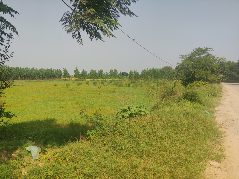  2 Acre Commercial Land for Rent in Morinda, Rupnagar