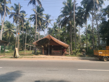  Commercial Land for Sale in Balussery, Kozhikode