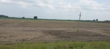  Agricultural Land for Sale in Detroj Rampura, Ahmedabad