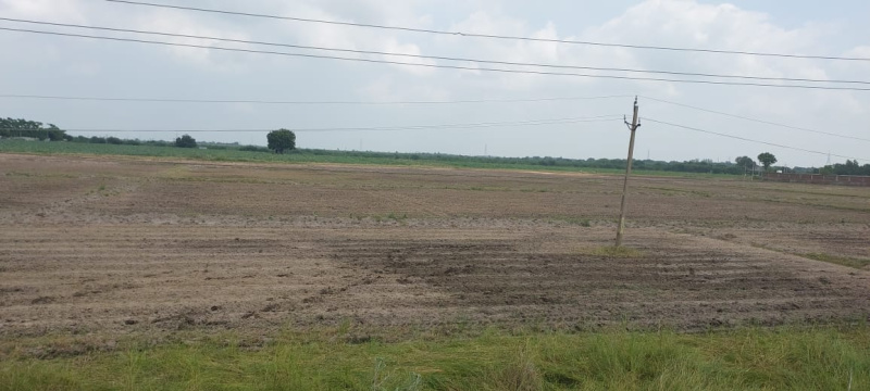 Commercial Land 155 Bigha for Sale in