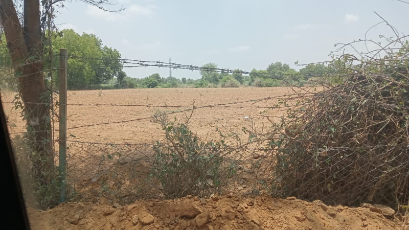  Agricultural Land 5 Bigha for Sale in Gandhi Nagar, Gandhinagar