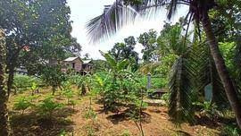  Industrial Land for Sale in Thiruvalla, Pathanamthitta