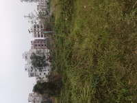  Residential Plot for Sale in New Town, Kolkata
