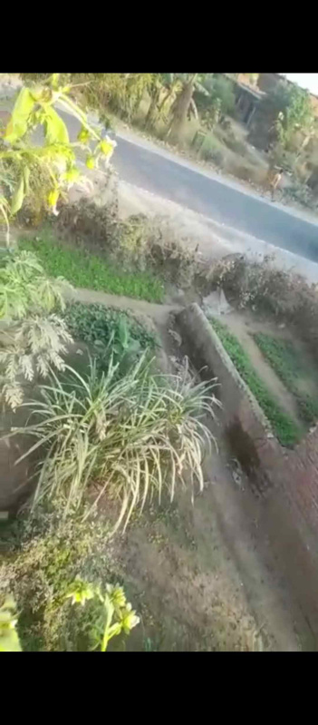  Commercial Land 2633 Sq.ft. for Sale in Kutumba, Aurangabad