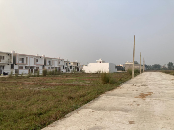  Residential Plot for Sale in Jainagar, Rudrapur Udham, Udham Singh Nagar