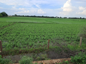  Agricultural Land for Sale in Bala Ji Town, Kota