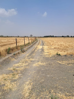  Agricultural Land for Sale in Baran Road, Kota