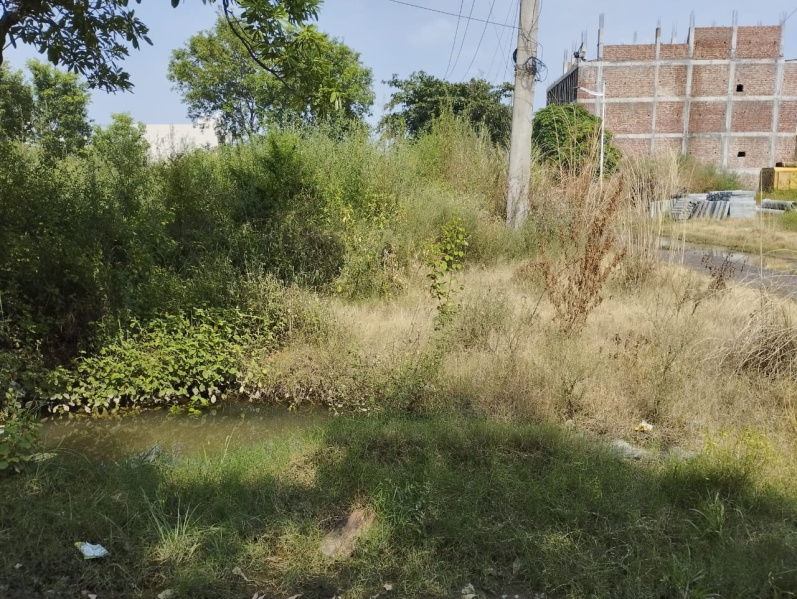 277 Sq. Yards Residential Plot for Sale in Sector 14 Bahadurgarh