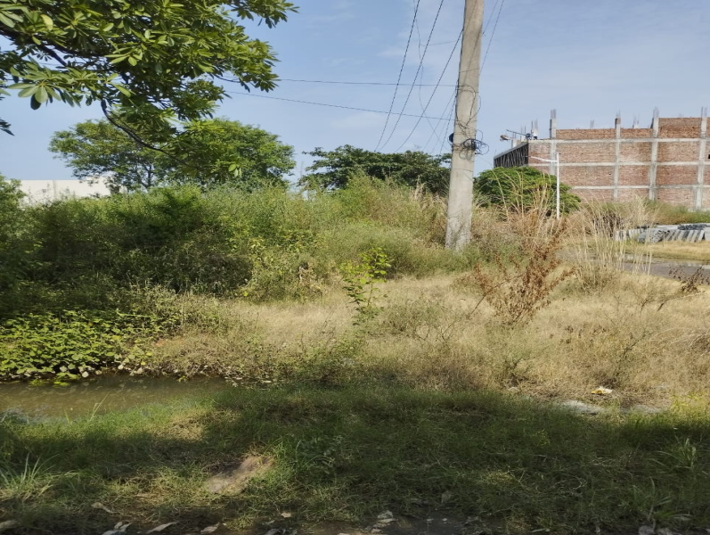  277 Sq. Yards Residential Plot for Sale in Sector 14 Bahadurgarh